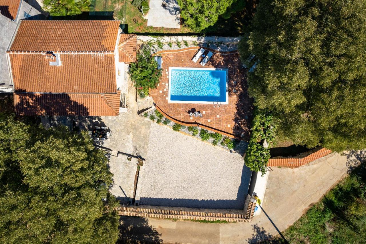 Villa Arboretum Poreč Buitenkant foto